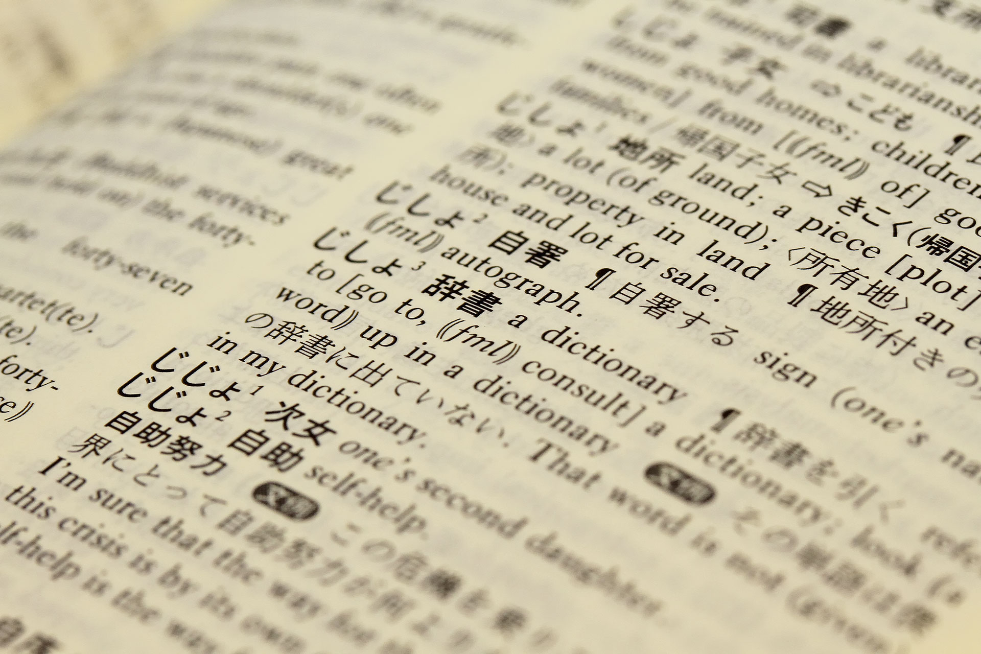 japanese dictionary for mac